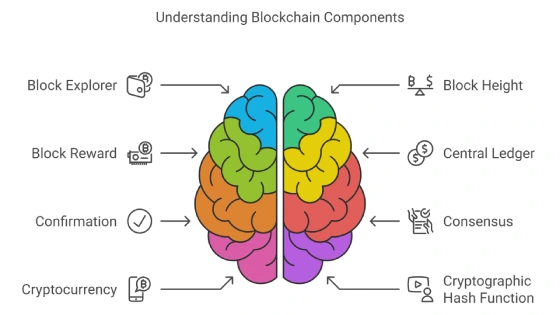 Understanding Blockchain Components