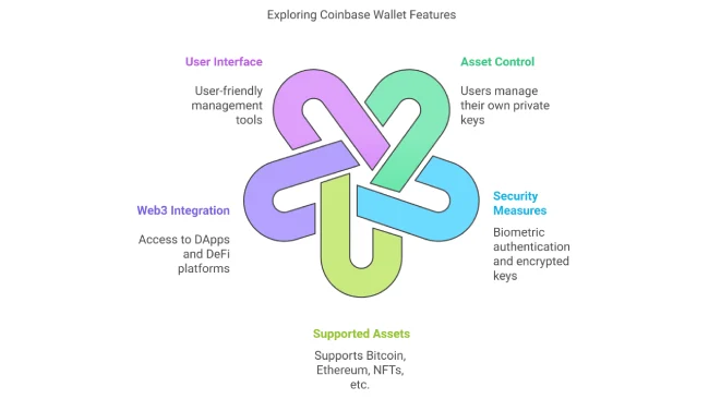 Exploring Coinbase Wallet Features