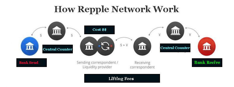 The Ultimate Ripple Beginners Guide - XRP | Cryptooa.com