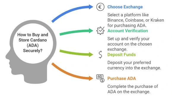 How to Buy and Store Cardano 