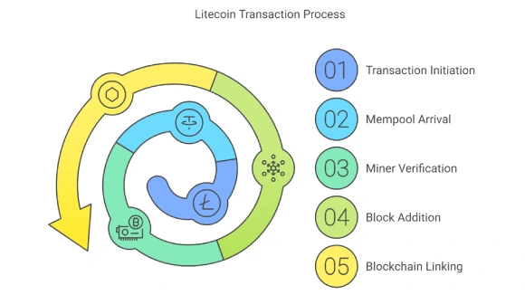 Litecoin Transaction Process