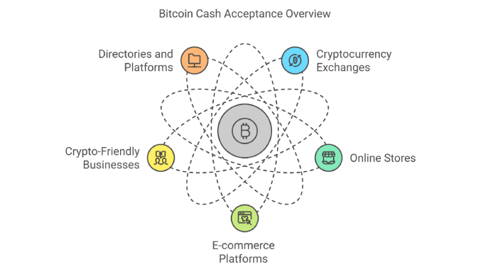 Bitcoin Cash Acceptance Overview