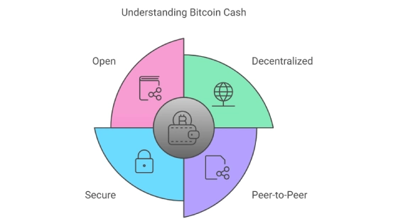 Understanding Bitcoin Cash