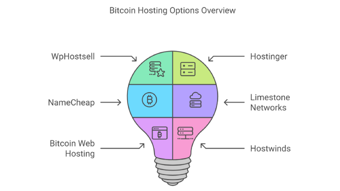 Bitcoin Hosting Options Overview