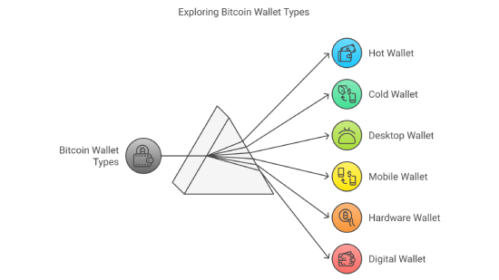 Exploring Bitcoin Wallet Types