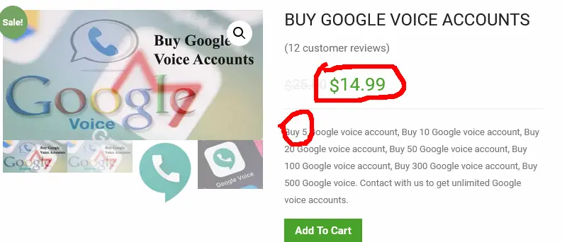 WpHostsell Site To Buy Google Voice